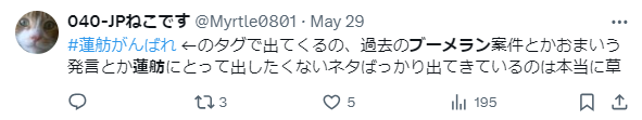 蓮舫のブーメランに対するネットの声